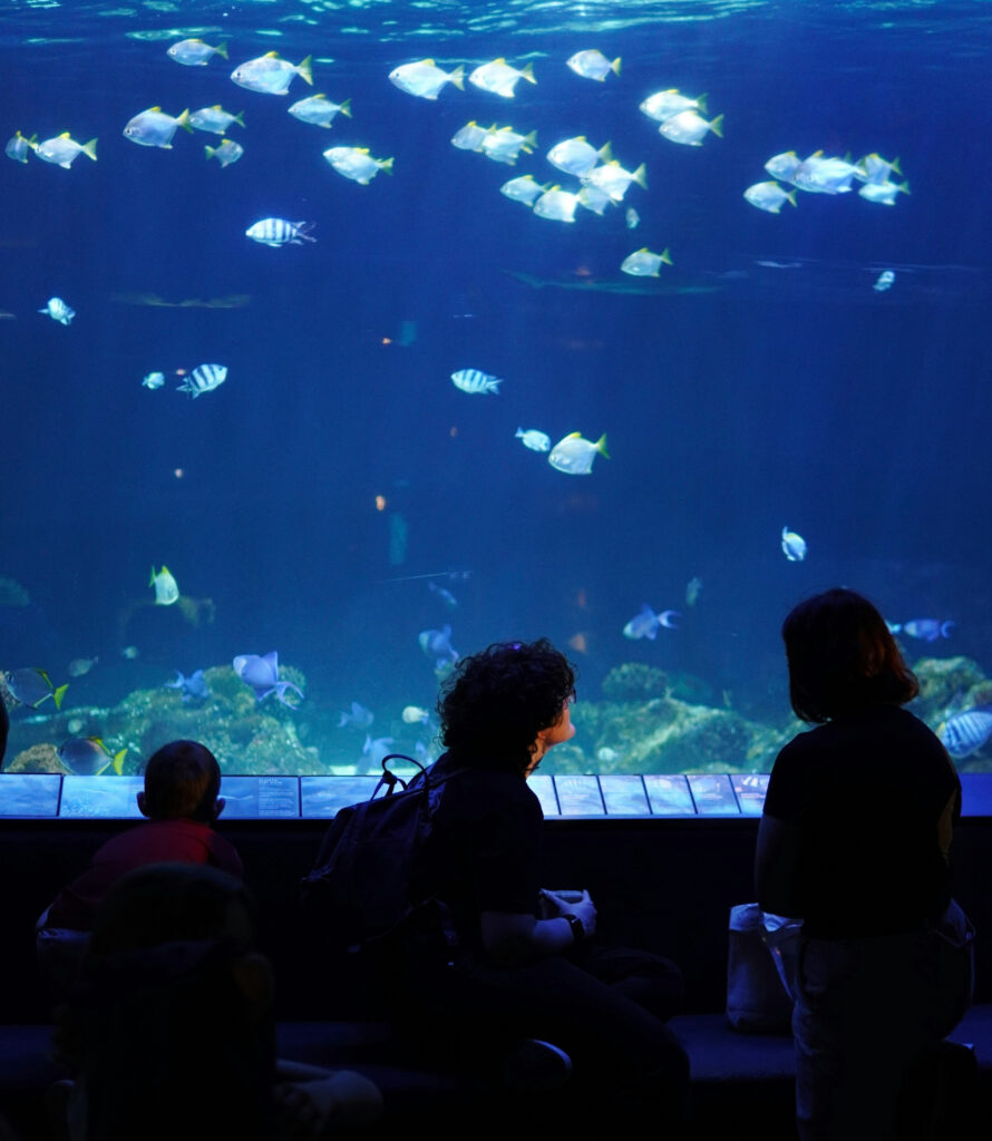 Visitors watching marine life at the Vancouver Aquarium near Stanley Park in Vancouver