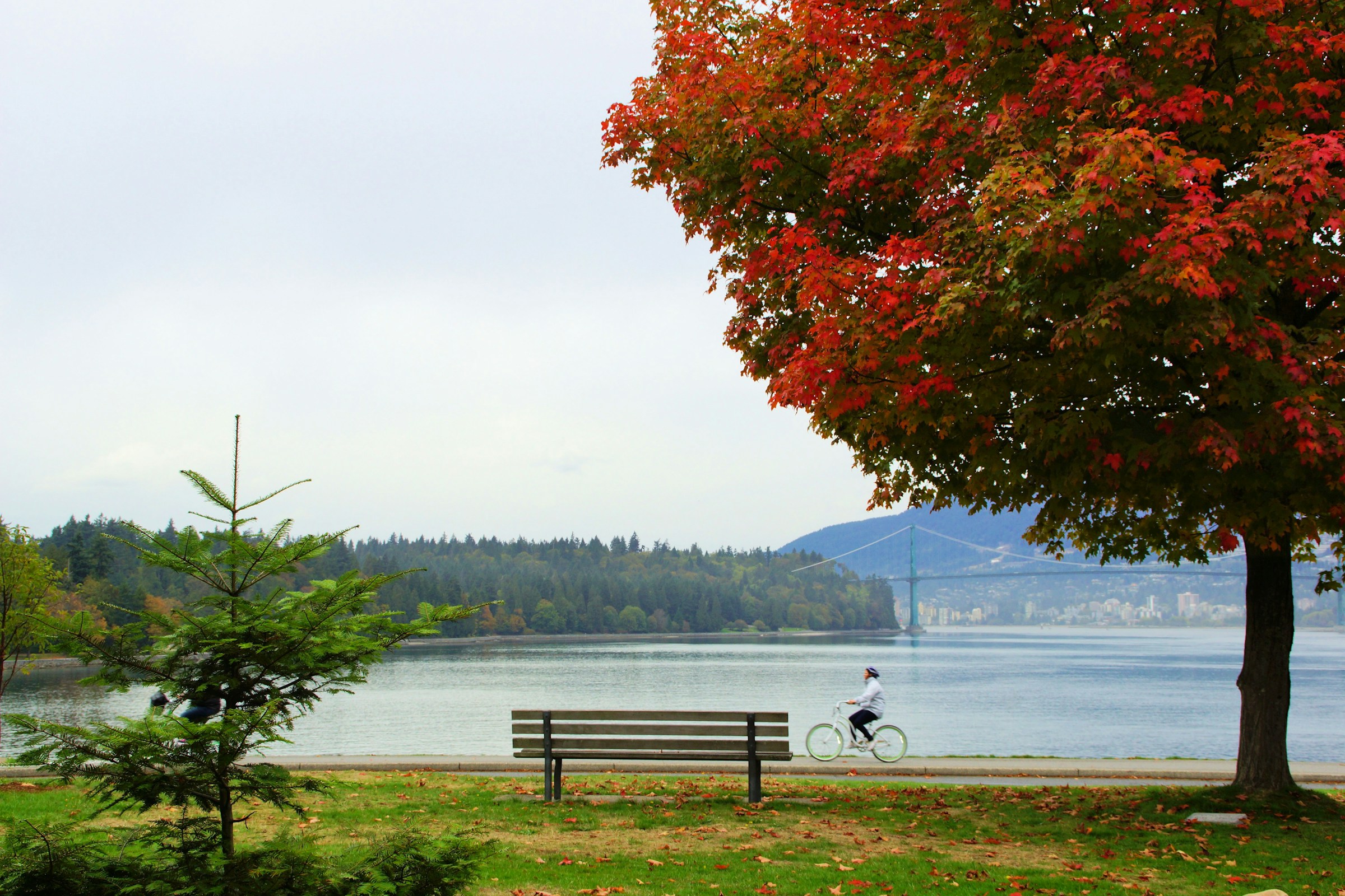 Person biking along Stanley Park seawall near Vancouver’s West End with ocean and trees
